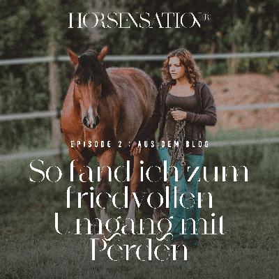 Blog to go: So fand ich zum friedvollen Umgang mit Pferden Blog to go: So fand ich zum friedvollen Umgang mit Pferden