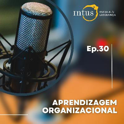 Episódio 30: Aprendizagem Organizacional: conhecimento e capacidade dos Líderes Episódio 30: Aprendizagem Organizacional: conhecimento e capacidade dos Líderes