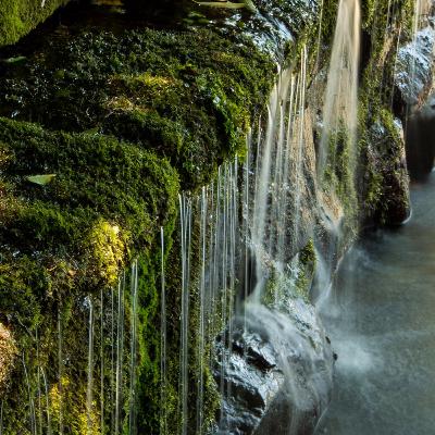 178夏目漱石「草枕」後（朗読）