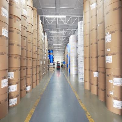 O milagre do papel O milagre do papel