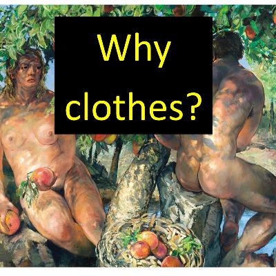 Why Clothes (part 1)