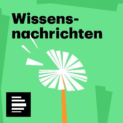 Gehirn, Moore, Gottesanbeterinnen - Wissensnachrichten - Deutschlandfunk Nova