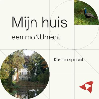 Aflevering 15 - Kasteelspecial