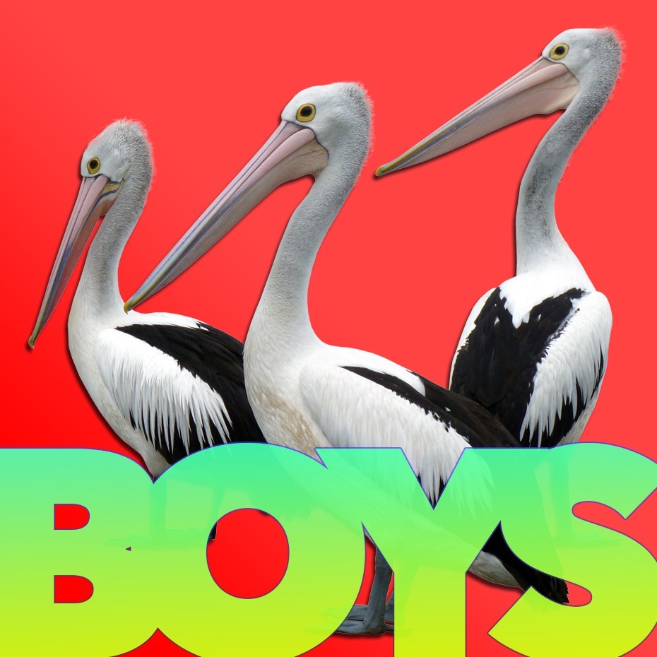 The Pelican Boys Show