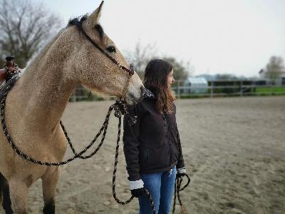 Folge 3: Ausrüstung