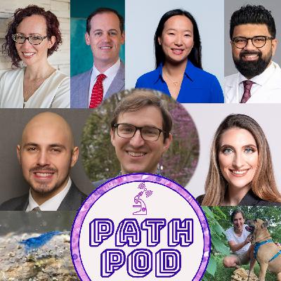 PathPod Quiz Show: Shrimp, Mushrooms, and even MORE FOOD!