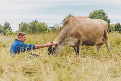Glen Herud - Happy Cow Milk