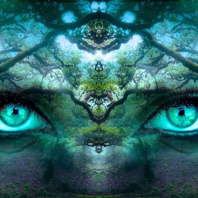 Liberação Mental de Emagrecimento com Saúde