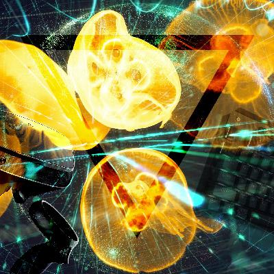Les Jeux Cross-Play VR/Non-VR