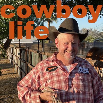 Wild cow catcher Travis Ericsson describes the thrill of roping feral cattle in rugged country