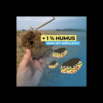 Was ist möglich beim Humus-Aufbau am Acker?