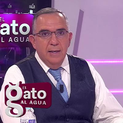 El Gato al Agua | 29/10/25