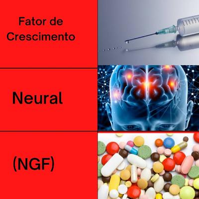 Episódio 12- Crescimento Neural