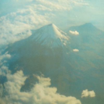 Ecosistemas y sus elementos