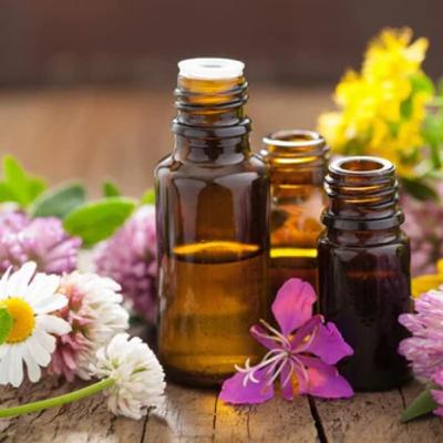 T4 E36 Aromaterapia FT Cindy Calderon Dominguez