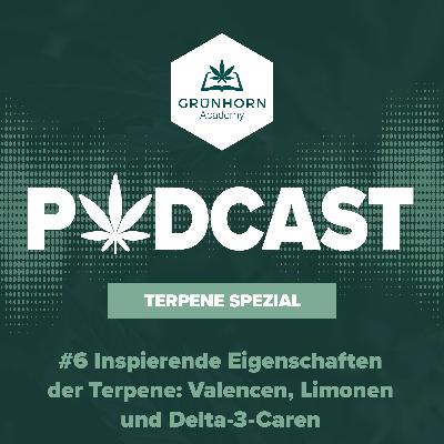 #6 Terpene in Cannabis: Inspirierende Eigenschaften der Terpene