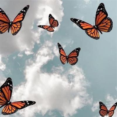 Factores culturales y ambientales de vulnerabilidad y protección de salud.