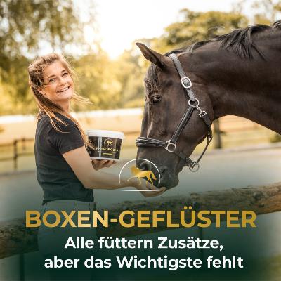 Unterschätzt & entscheidend: Warum die Grundmineralisierung so wichtig ist