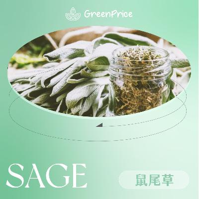 【撐起健康】淨化神器：鼠尾草🌿