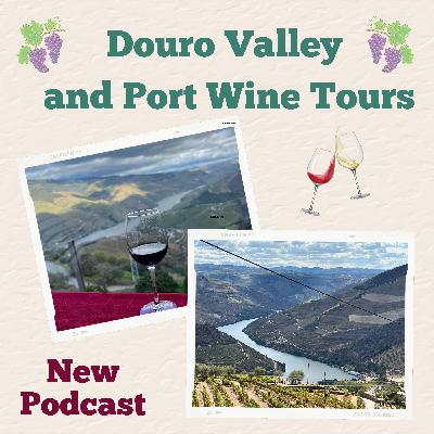 Douro River Valley and Port Cellar tours in Porto