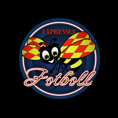 Är Graham Potter räddningen för svensk fotboll?