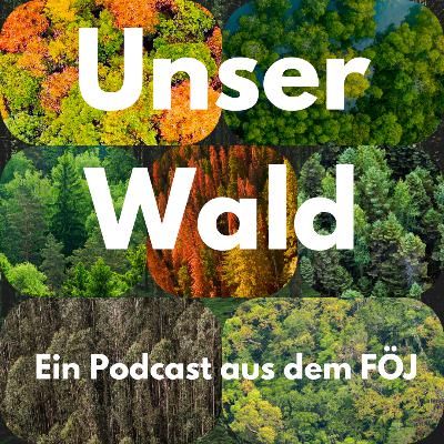 Wald und Mensch