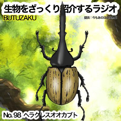 第98話：🐦「ヘラクレスオオカブト」をざっくり紹介