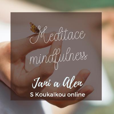 O koučování v životě i studiu: Meditace a mindfulness O koučování v životě i studiu: Meditace a mindfulness