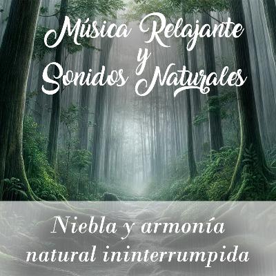 Cap. 4 - Niebla y armonía natural ininterrumpida