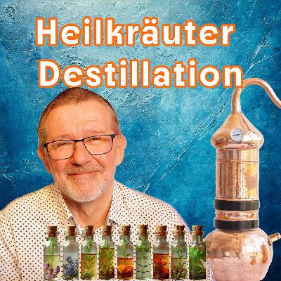 🌿Thymian destillieren -  Atempflanze und Sonnenkind🌿