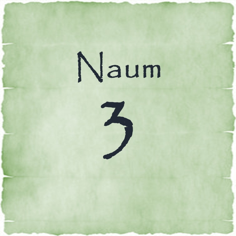 Naum 3 episode artwork