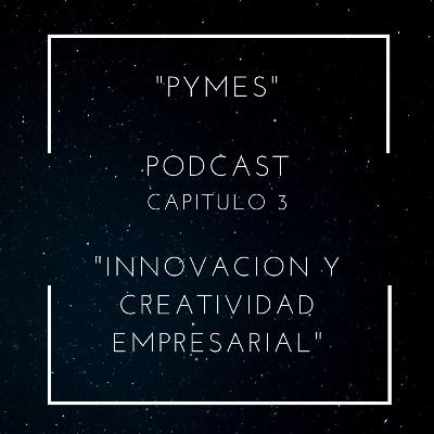 Capítulo 3. Innovación y creatividad empresarial.