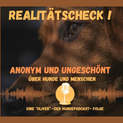 Realitätscheck. Wenn der Traum vom Hund auf Realität trifft. Realitätscheck. Wenn der Traum vom Hund auf Realität trifft.