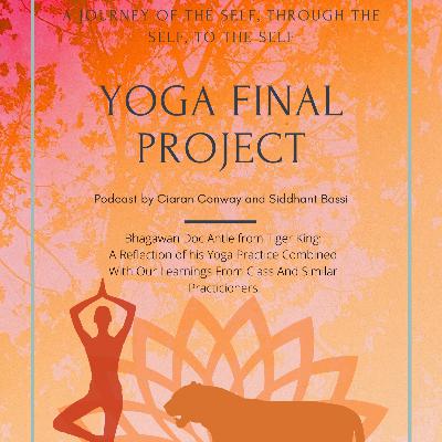 Yogis, Tigers, Cults? Oh My!
