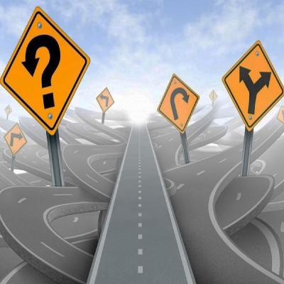Organizations That Suit Human Being