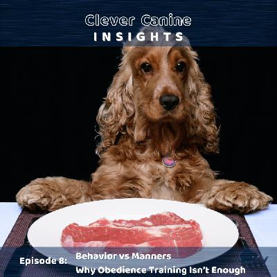 Obedience vs. Manners: Why Obedience Training Isn't Enough