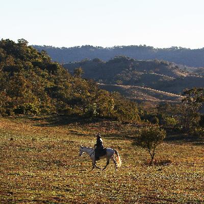 Inside The Succession Turmoil Facing Australian Farmers