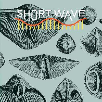 Why Some Species Survive Mass Extinctions