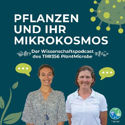 #3 Molekulare Türsteher: Wie erkennen Pflanzen schädliche Mikroorganismen? – Mit Michelle von Arx