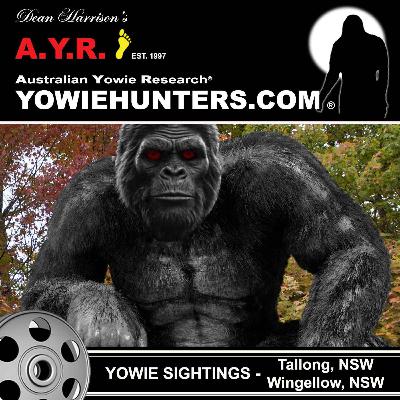 Yowie Sightings at Tallong and Wingellow - New South Wales 1990 & 2012