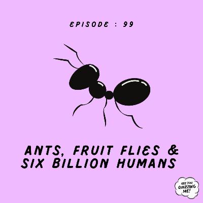 Episode 099 - Ants, Fruit Flies & Six Billion Humans Episode 099 - Ants, Fruit Flies & Six Billion Humans