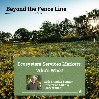Beyond The Fence Line Episode 37 - Ecosystem Services Markets: Who's Who?