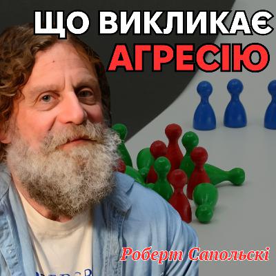 Що викликає агресію. Лекція 19