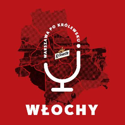 Włochy: Taras widokowy zamknięty, czyli filmowa historia warszawskiego lotniska.