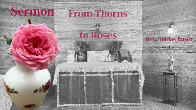 Sermon: From Thorns to Roses, by Rev. Tobias Bayer