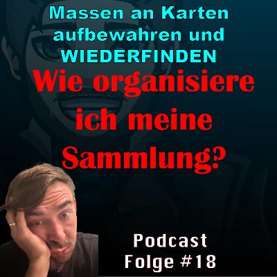 #18 TCG Sammlung organisieren und strukturieren