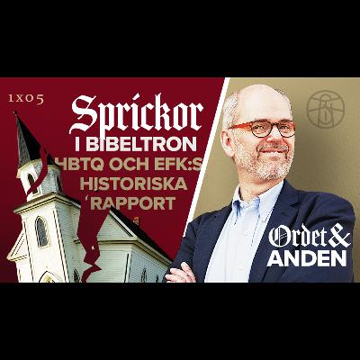 06 Sprickor i bibeltron - HBTQ och EFK:s historiska rapport