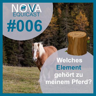 006 Welches Element gehört zu meinem Pferd?
