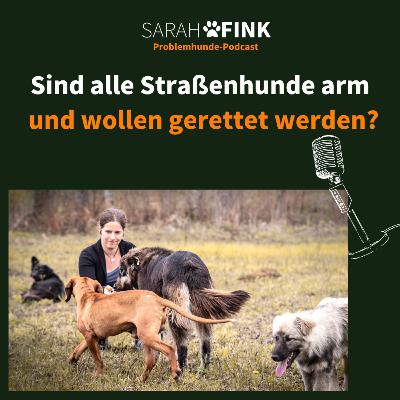 Sind alle Straßenhunde arm und wollen gerettet werden? | Sarah Fink Problemhundepodcast Folge 5