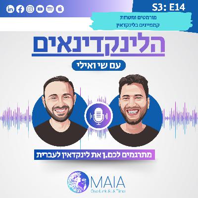 פורמטים ומטרות קמפיינים בלינקדאין